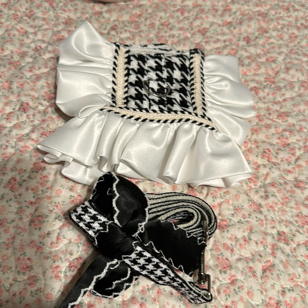 Harness and leash set